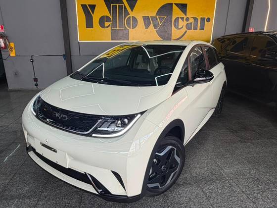 BYD DOLPHIN 44,9 KW ELÉTRICO GS